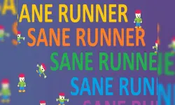 Sane Runner image