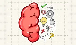 Brain Tricky Puzzles image