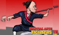 Martial Arts Fighters image
