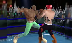 Real Boxing Fighting Game image