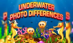 Underwater Photo Differences image