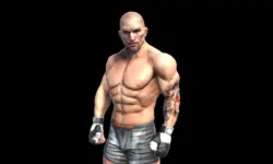 Fight Arena Online image
