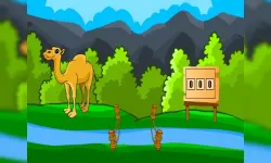 Rescue The Hungry Camel image