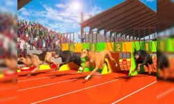Dog Run 3D image