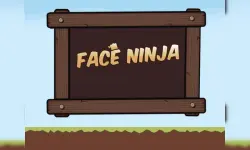 Face Ninja image