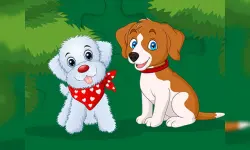 Cute Puppies Jigsaw image
