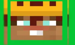 MINI RUN RACE image