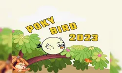 Poky Bird 2023 image
