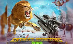 Wild animal hunting image