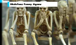 Skeletons Funny Jigsaw image