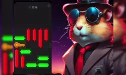Hamster Puzzle Keys image