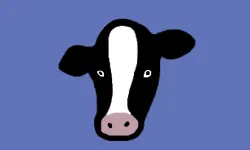 Paint Cow image