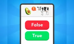 True False - Quiz image