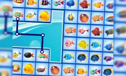 Fish Connections image