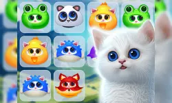 Kitty Jewel Quest image