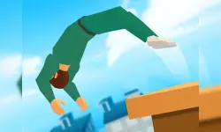 Crazy Backflip 3D image