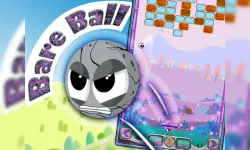 Bare Ball image