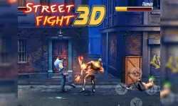 Street Fight 3D image