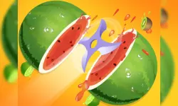 Fruit Slicer Classic image
