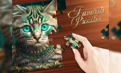 Favorite Puzzles: jigsaw game image