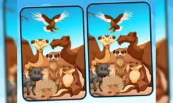 Spot 5 Differences Deserts image