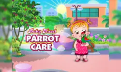 Baby Hazel Parrot Care image