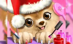 Christmas Salon image