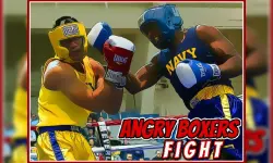 Angry Boxers Fight image