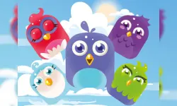 Bird Match Master image