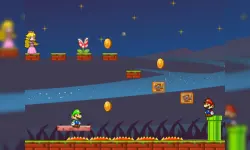 Mario Bros Save Princess image