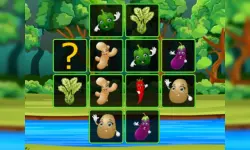 Vegetable Cards Match image