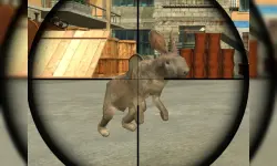 image bg Rabbit Shooter