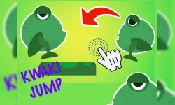 KWAKI Jump frog image