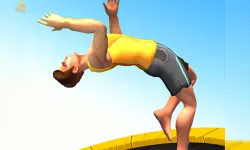 Flip Trickster image