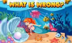 What Is Wrong 2 image