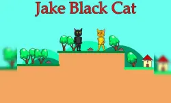 Jake Black Cat image