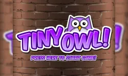 Tiny Owl image