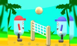 Beach Volleyball image