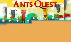 Ants Quest image