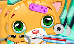 Doctor Pets image