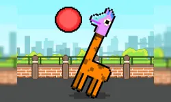 Volley Lama image