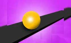 Roller Sky - Balance Ball image