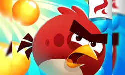 Angry bird blast image