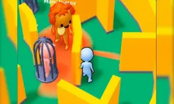 Hide Find Seek 2023 image