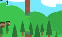 MC Flappy Steve image