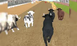 Bull Racing image