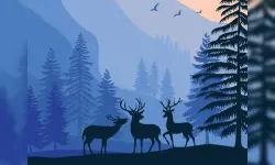 Landscape Paradise Hidden image
