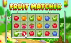 Fruit Matcher image