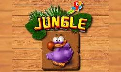 Jungle Matching image