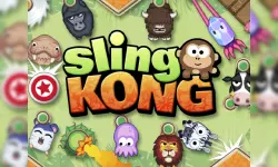 Sling Kong image